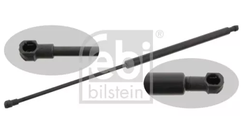 1x Gas Spring, bonnet
