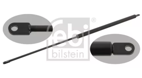 1x Gas Spring, bonnet