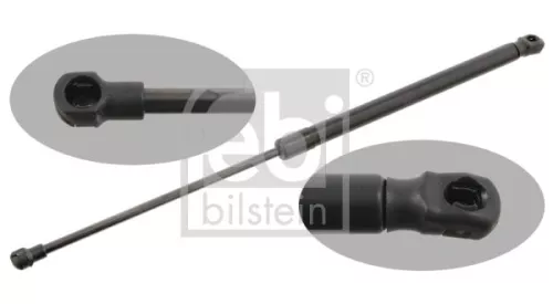1x Gas Spring, bonnet