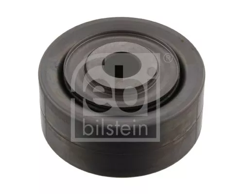 1x Deflection/Guide Pulley, V-ribbed belt