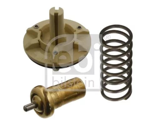 1x Thermostat, coolant
