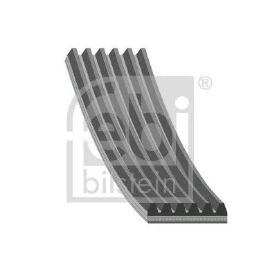 FEBI BILSTEIN 1x V-Ribbed Belt (38429)