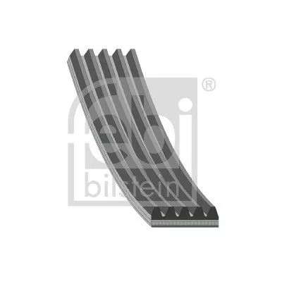 FEBI BILSTEIN 1x V-Ribbed Belt (38445)