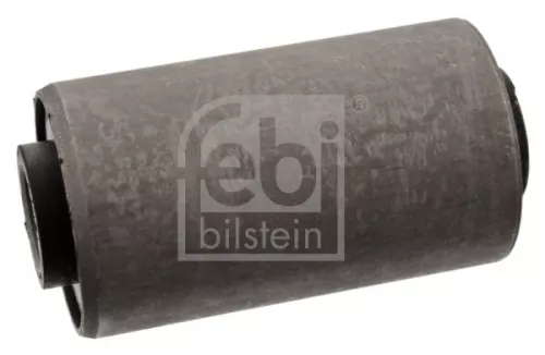 1x Bushing, leaf spring