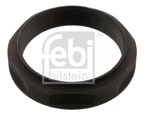 FEBI BILSTEIN 1x Nut, kingpin (43603)