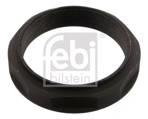 FEBI BILSTEIN 1x Nut, kingpin (43604)