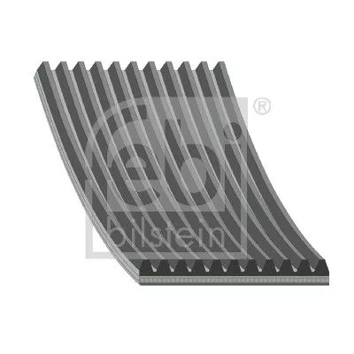 1x V-Ribbed Belt