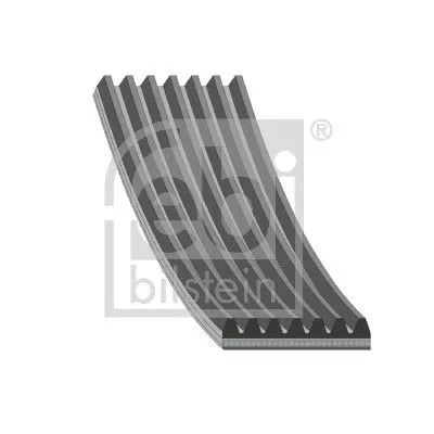 FEBI BILSTEIN 1x V-Ribbed Belt (45247)