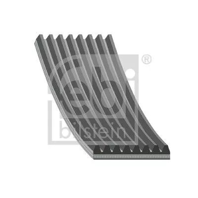 FEBI BILSTEIN 1x V-Ribbed Belt (45441)