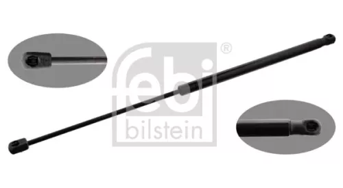 1x Gas Spring, bonnet