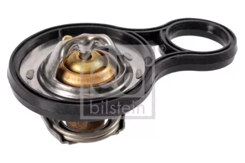 1x Thermostat, coolant