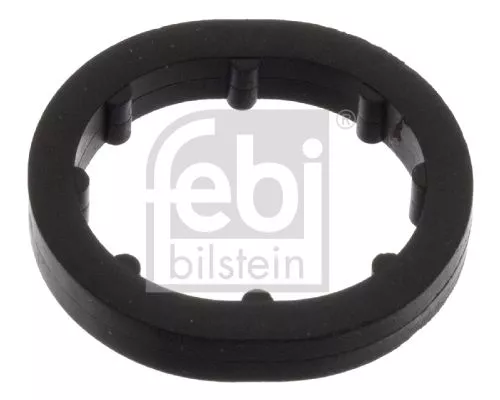 1x Seal Ring, oil cooler