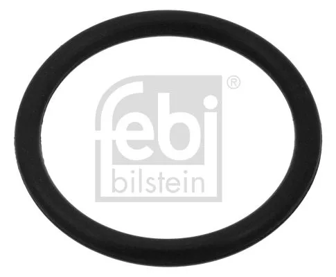 1x Seal Ring, oil drain plug