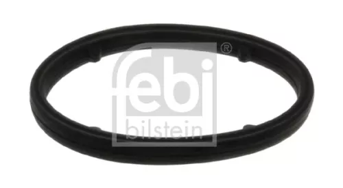 1x Gasket, oil cooler