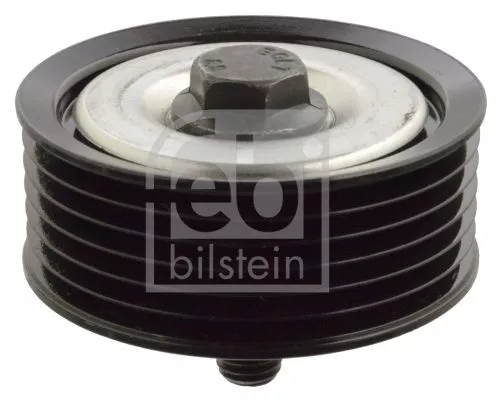 1x Deflection/Guide Pulley, V-ribbed belt
