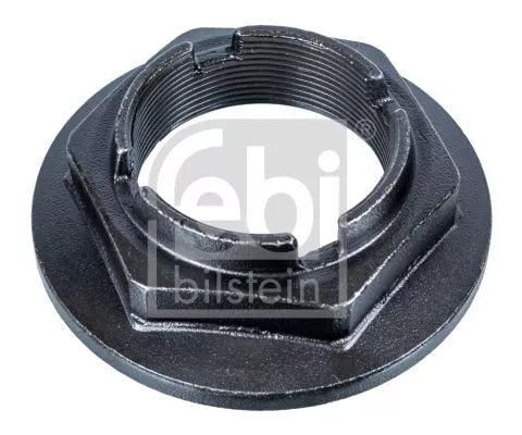 FEBI BILSTEIN 20x Nut, kingpin (107430)