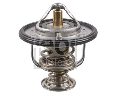 1x Thermostat, coolant