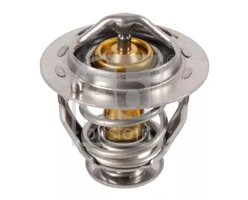 1x Thermostat, coolant