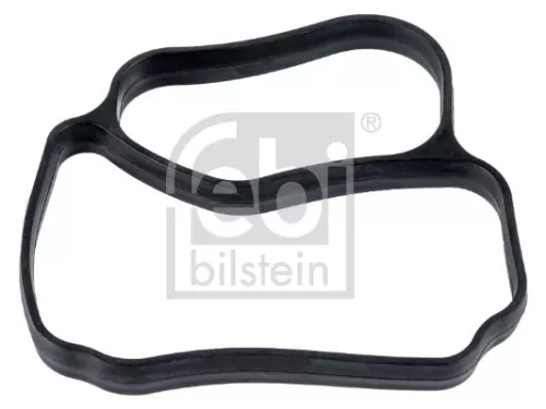 1x Gasket, thermostat housing