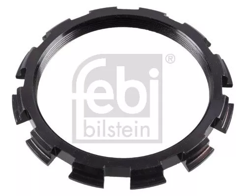 FEBI BILSTEIN 1x Nut, kingpin (181510)