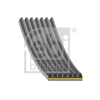 FEBI BILSTEIN 1x V-Ribbed Belt (182992)