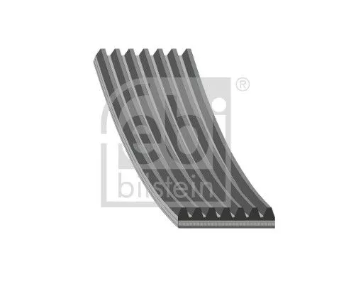 1x V-Ribbed Belt