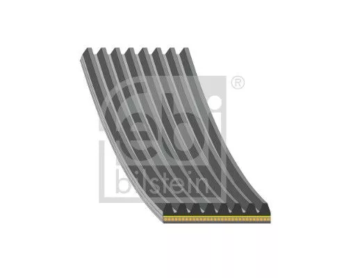 1x V-Ribbed Belt