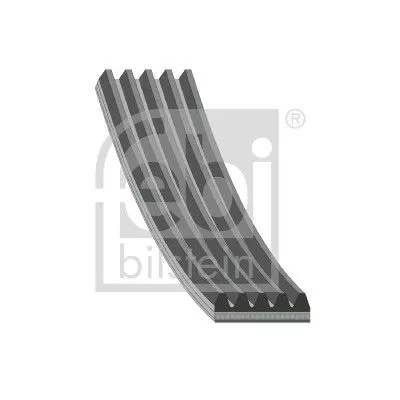 1x V-Ribbed Belt