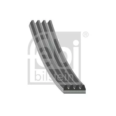 1x V-Ribbed Belt