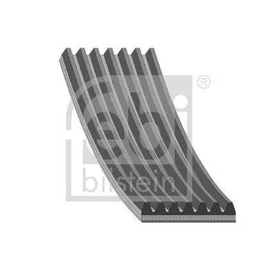 FEBI BILSTEIN 1x V-Ribbed Belt (188681)