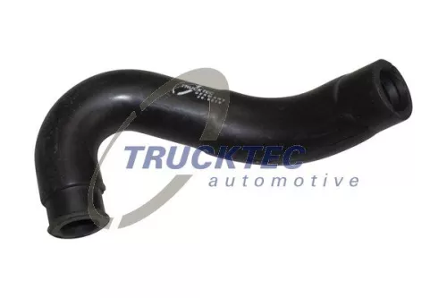 Hose, crankcase ventilation