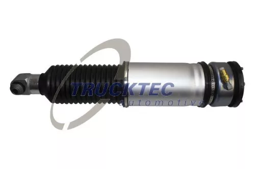 Air Suspension Strut