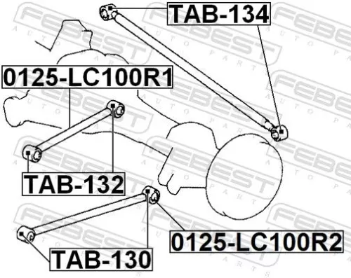 FEBEST Control/Trailing Arm, wheel suspension (0125-LC100R2)