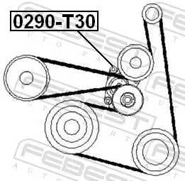 FEBEST Belt Tensioner, V-ribbed belt (0290-T30)