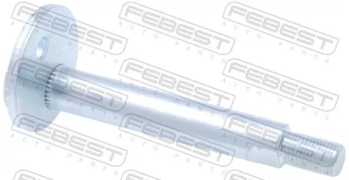 Camber Correction Screw