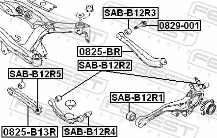 FEBEST Camber Correction Screw (0829-001)