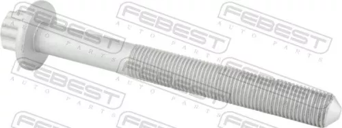 FEBEST Fastening Bolt, control arm (1698-002)