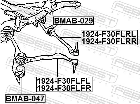 FEBEST Control/Trailing Arm, wheel suspension (1924-F30FLFR)