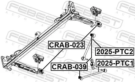 FEBEST Control/Trailing Arm, wheel suspension (2025-PTC2)