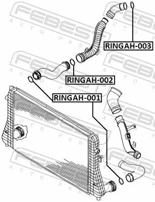 FEBEST Seal Ring, charge air hose (RINGAH-001)