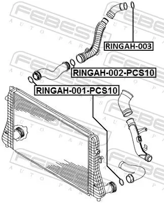 FEBEST Seal Ring, charge air hose (RINGAH-002-PCS10)