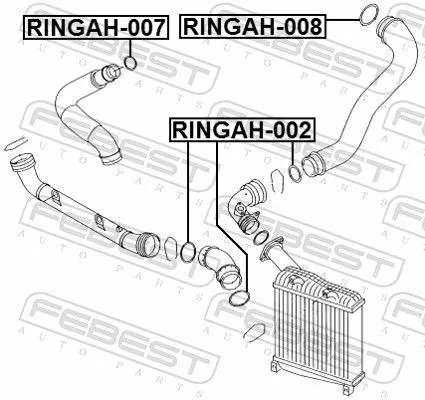 FEBEST Seal Ring, charge air hose (RINGAH-007)