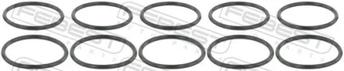 Seal Ring, charge air hose