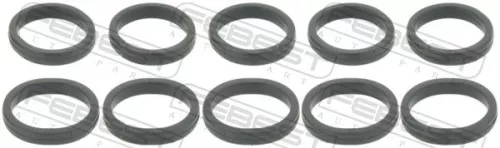 FEBEST Gasket, coolant flange (RINGWH-012-PCS10)