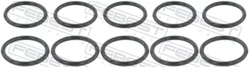 FEBEST Gasket, coolant flange (RINGWH-018-PCS10)