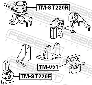 FEBEST Mounting, engine (TM-ST220R)