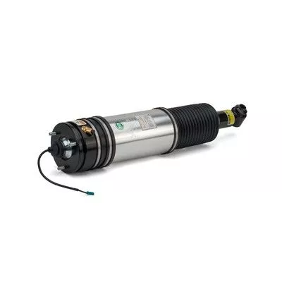 Arnott Air Suspension Strut (AS-2979)