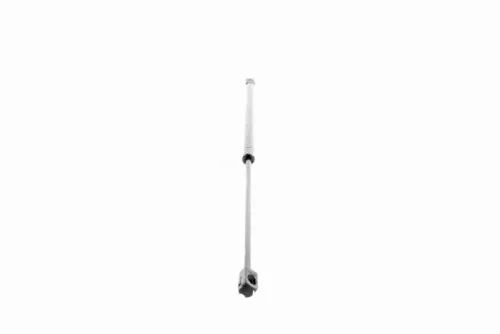 VAICO Gas Spring, bonnet (V20-1889)