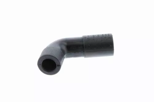 Hose, cylinder head cover ventilation