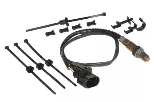 Oxygen Sensor